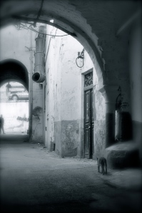 The Medina, Tunis.